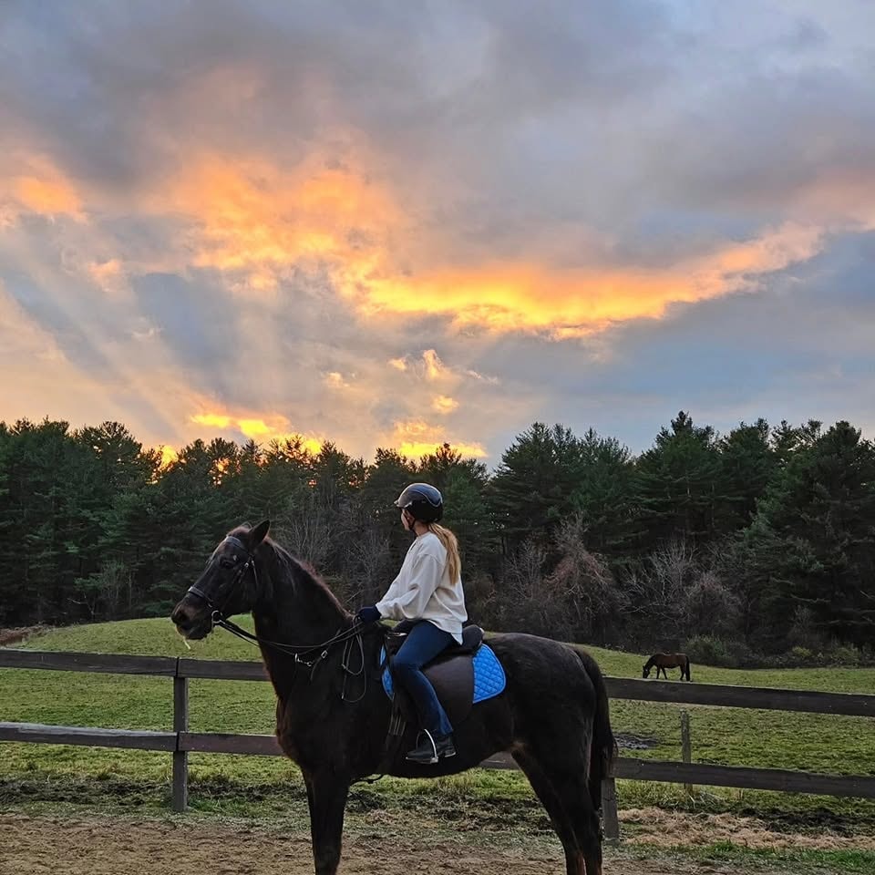 Rider on black horse at sunset